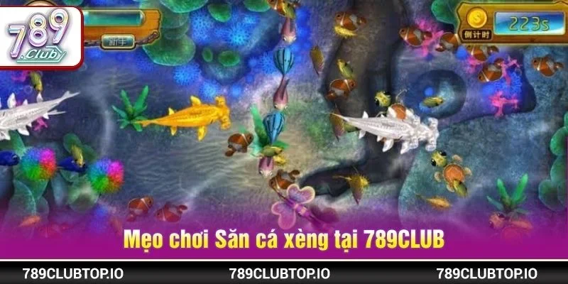 Mẹo chơi Săn cá xèng cần được áp dụng linh hoạt trong ván chơi tại 789CLUB
