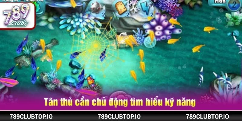 Tân thủ cần là người chủ động tìm hiểu kỹ năng trong bắn cá thần tiên